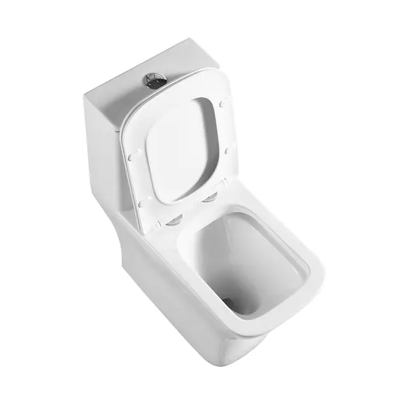 Унитаз-моноблок с сиденьем BelBagno NEON BB8617CPR-MN/SC