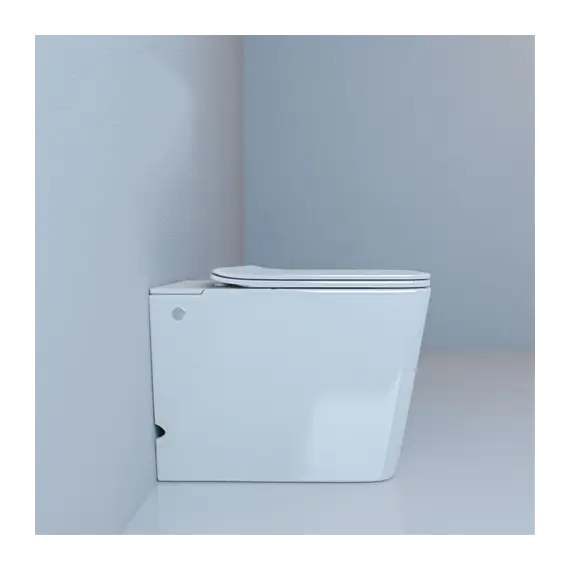 Унитаз Ceruttispa CT7269 DISGRAZIA Pulse приставной с функцией импульсного смыва