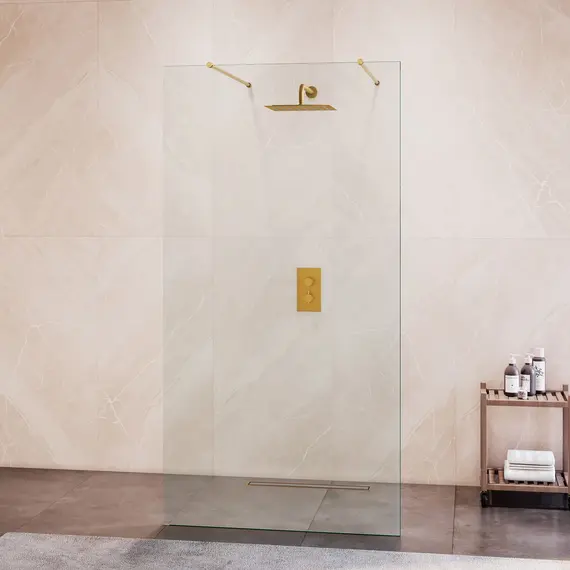 Душевая перегородка RGW WA-016Gb