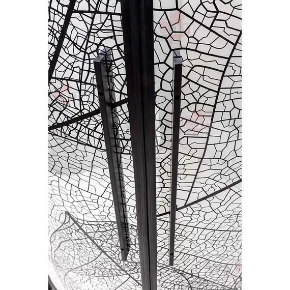 Душевая дверь в нишу AvaCan FB2 170-190