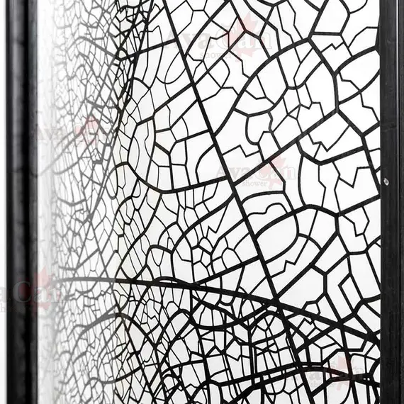 Душевая дверь в нишу AvaCan FB2 170-190