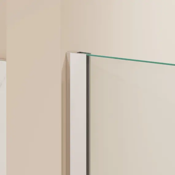 Душевая перегородка RGW WA-054 (WA-010 + Z-072) прозрачное/хром