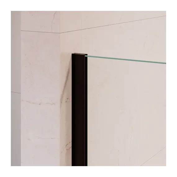 Душевая перегородка RGW WA-210B прозрачное стекло