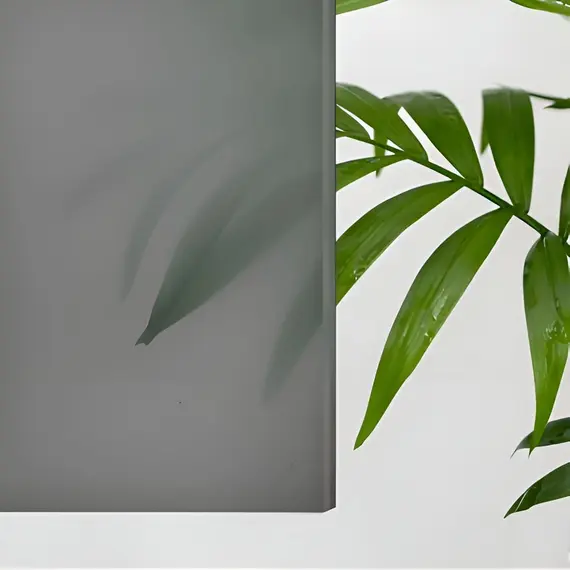 Душевой уголок RGW CL-133B (CL-13B + Z-03B) тонированное/черный