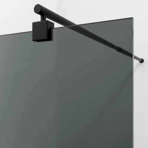 Душевая перегородка WasserKRAFT Rur 30W MB-TG тонирован/черный