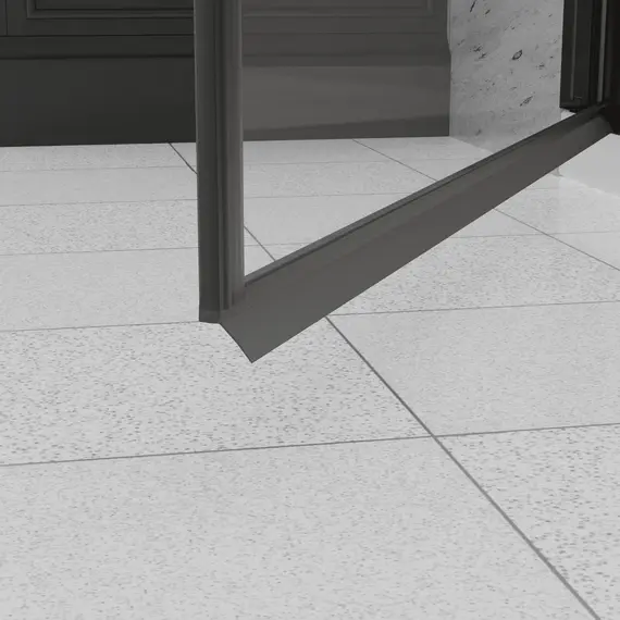 Душевая дверь RGW Dolphin TN-03B