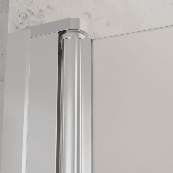 Душевая дверь Dolphin TN-03