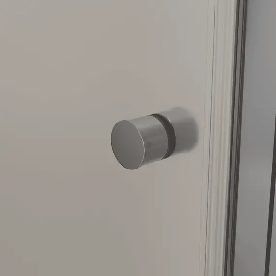 Душевая дверь Dolphin TN-03