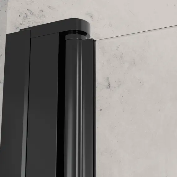 Душевая дверь RGW Dolphin TN-03B