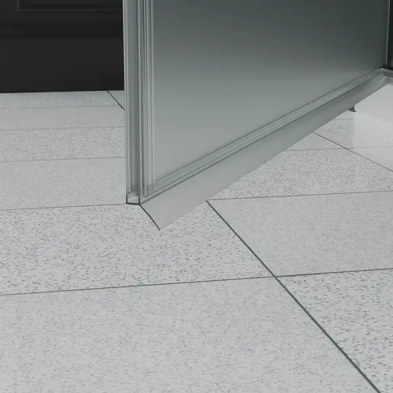 Душевая дверь Dolphin TN-03