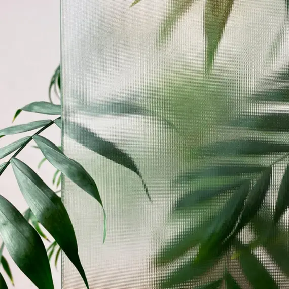 Душевая дверь Dolphin TN-03