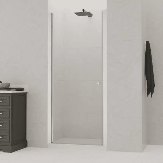 Душевая дверь RGW Dolphin TN-03 прозрачное/хром