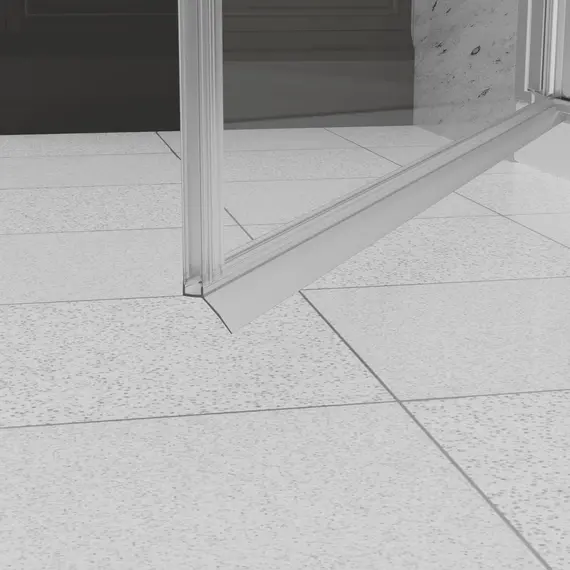 Душевая дверь RGW Dolphin TN-03 прозрачное/хром