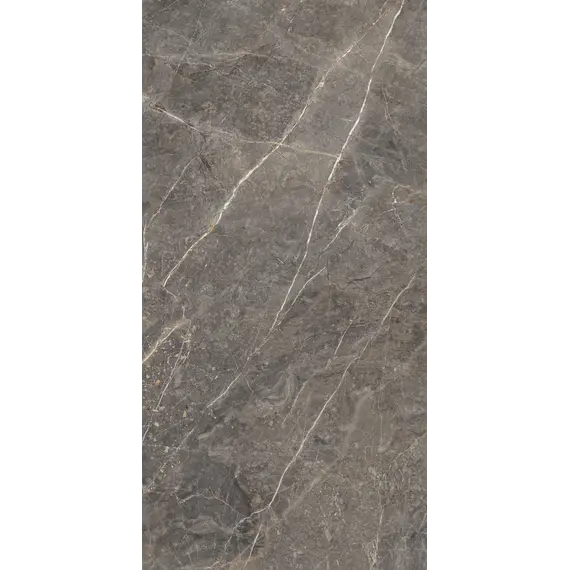 Керамогранит Сальса / Salsa GT1206023109MGR Темно-серый 60x120 _ 1\43,2