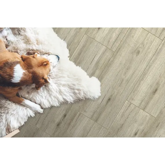 Керамогранит Джизак GT206026507MСR Светло-бежевый 19,7x60 _ 1\56,736