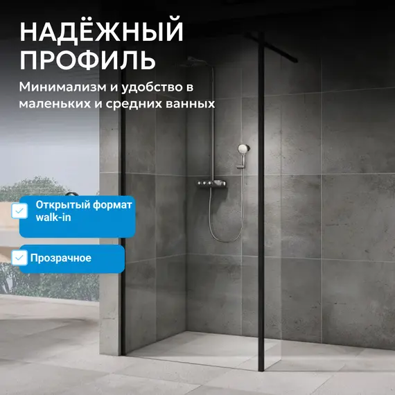 Душевая перегородка ABBER Immer Offen прозрачное/черный/8мм