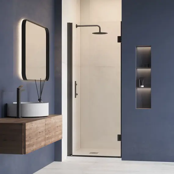 Душевая дверь RGW HO-011B