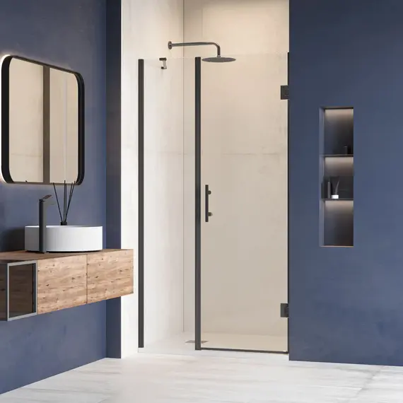 Душевая дверь RGW HO-012B