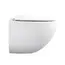 Унитаз керамический Black&White W751
