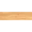 Плитка грес глаз. Ortus GT Медовый 15*60