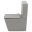 Унитаз-компакт MELANA MLN-310306MG матовый серый