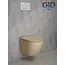 Безободковый подвесной унитаз микролифт дюропласт Gid Sr2198