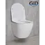 Безободковый подвесной унитаз микролифт дюропласт Gid Tr2198