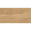 Керамогранит Флорида / Florida Беж. 30x60  1\58,32