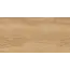 Керамогранит Флорида / Florida Беж. 30x60  1\58,32