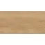 Керамогранит Флорида / Florida Беж. 30x60  1\58,32
