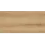 Керамогранит Вуди GT5010026902MCR бежевый 50x100 _ 1\54